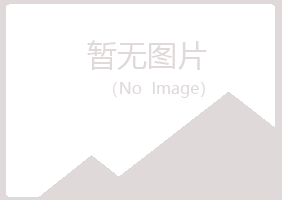 青海夏岚金属有限公司